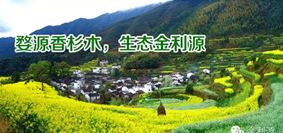 金利源板材/金品質(zhì) 源生態(tài).從源頭精挑細選，為品質(zhì)保駕護航——中國板材十大品牌品質(zhì)篇